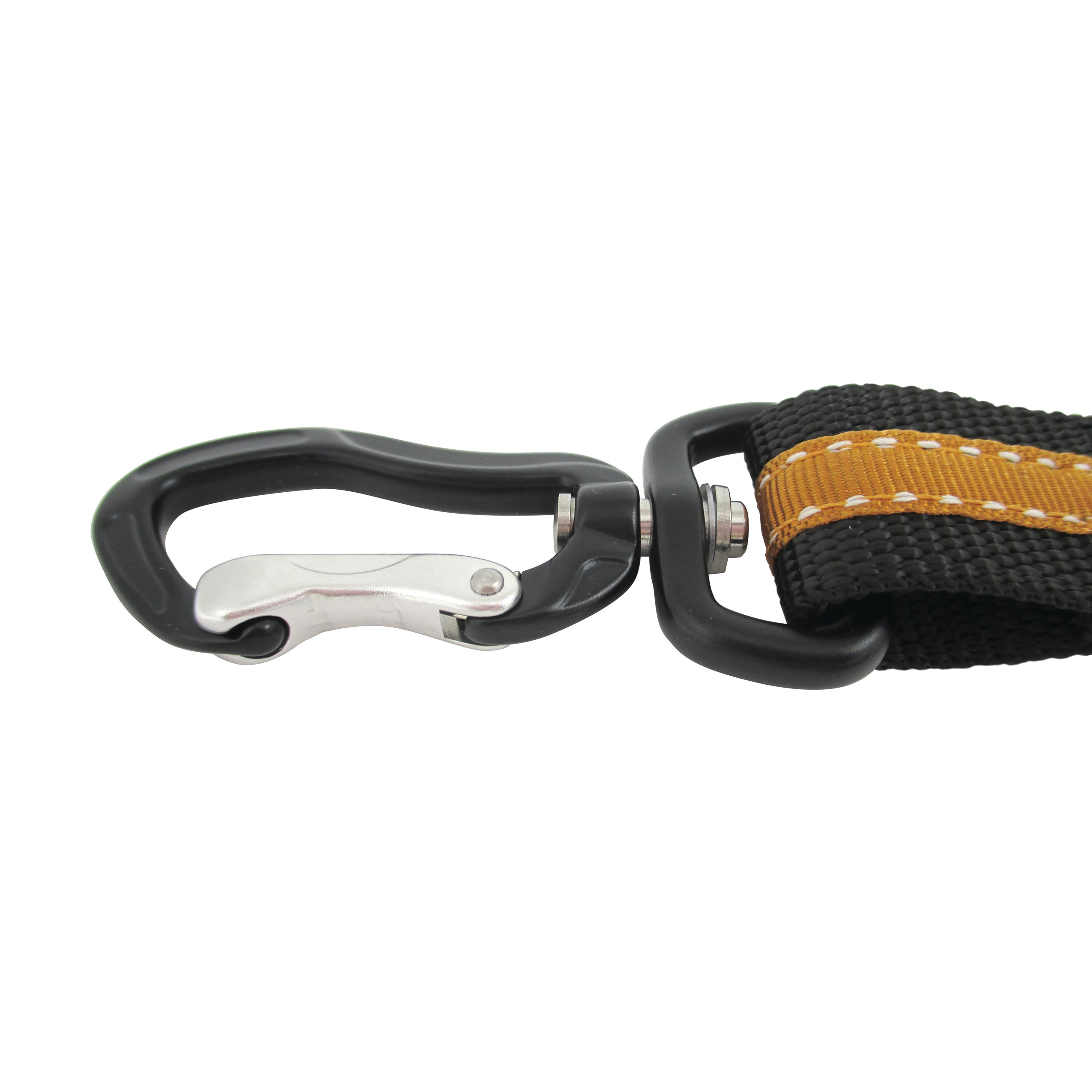 Belt buckle dog belt with