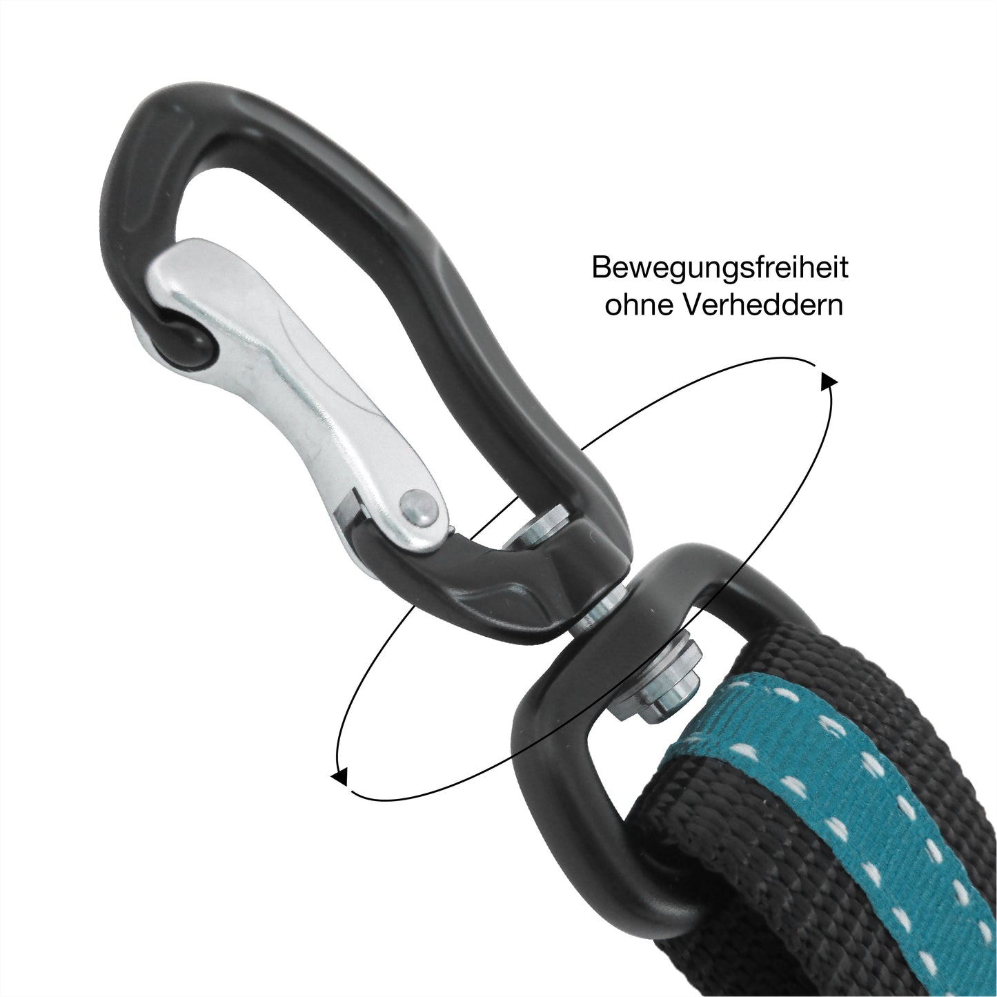 Belt buckle dog belt with rotating carabiners