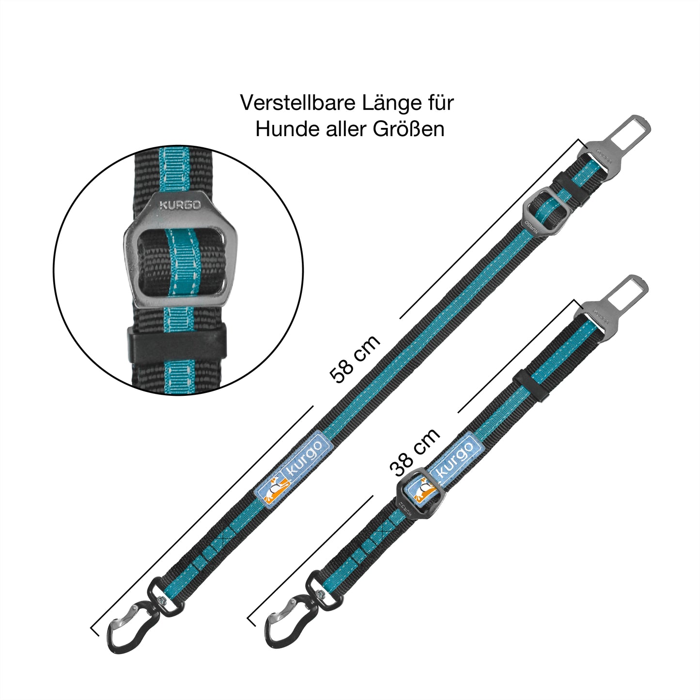 Belt buckle dog belt with rotating carabiners