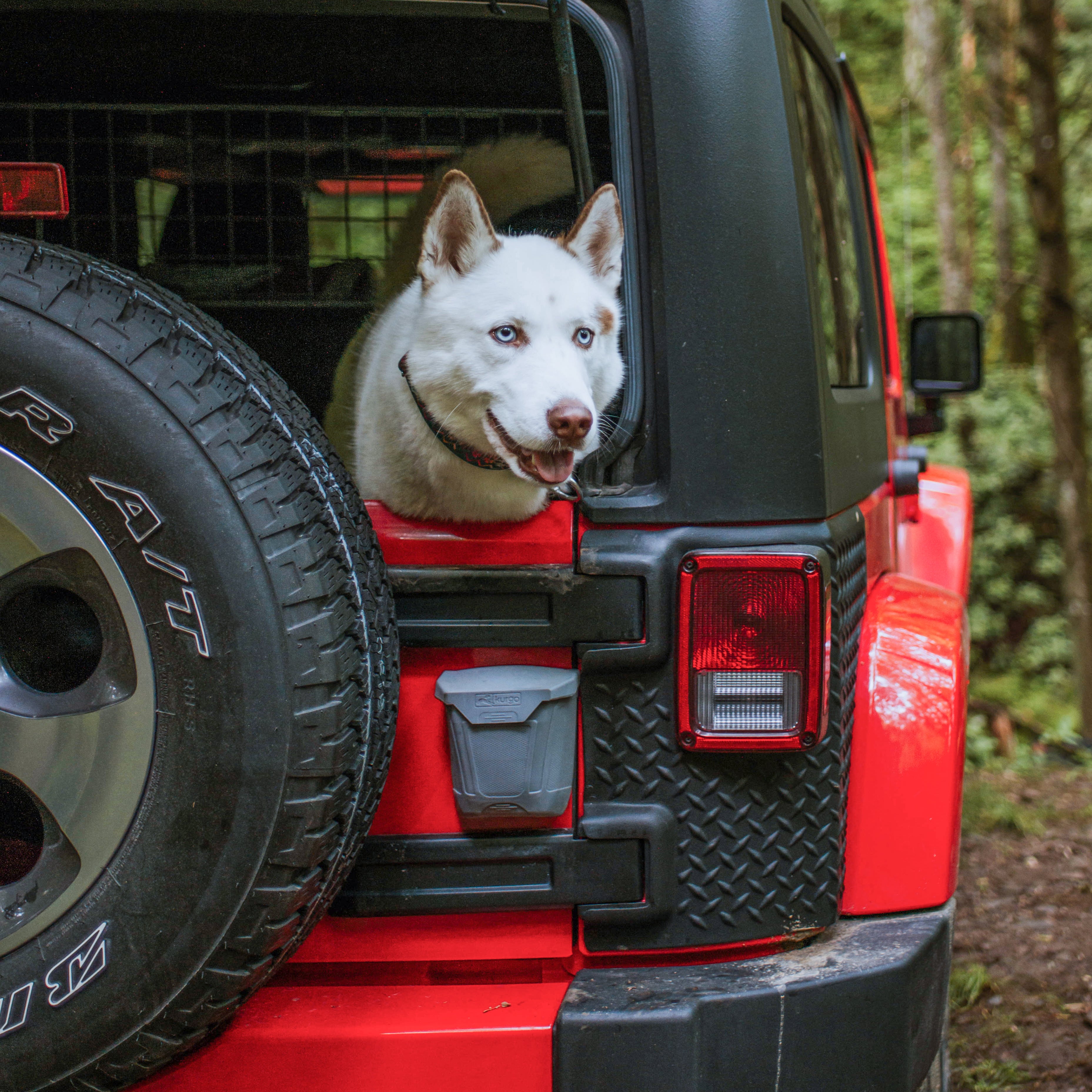 Tailgate trash can gray
