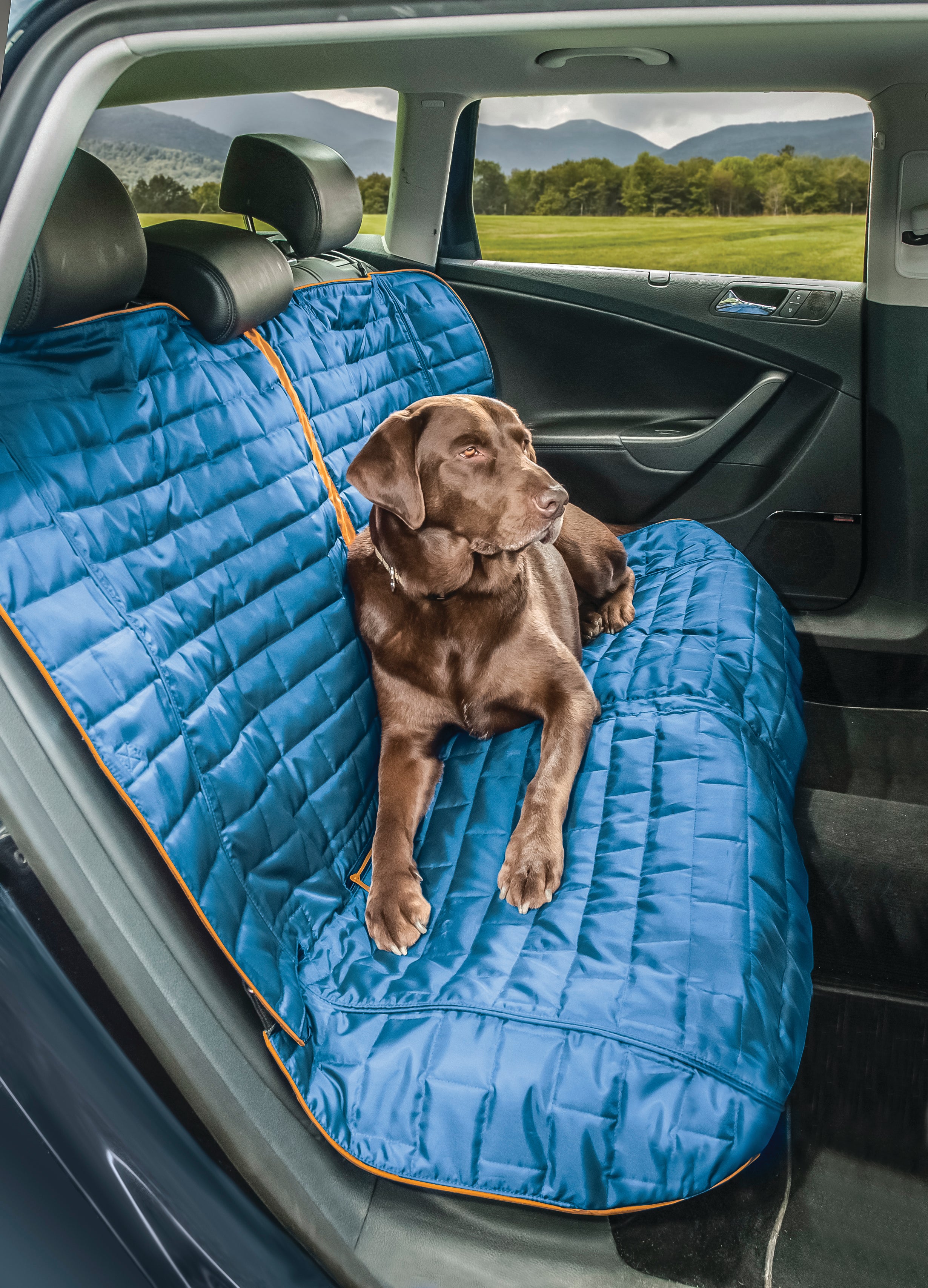 Loft back seat car seat cover blue