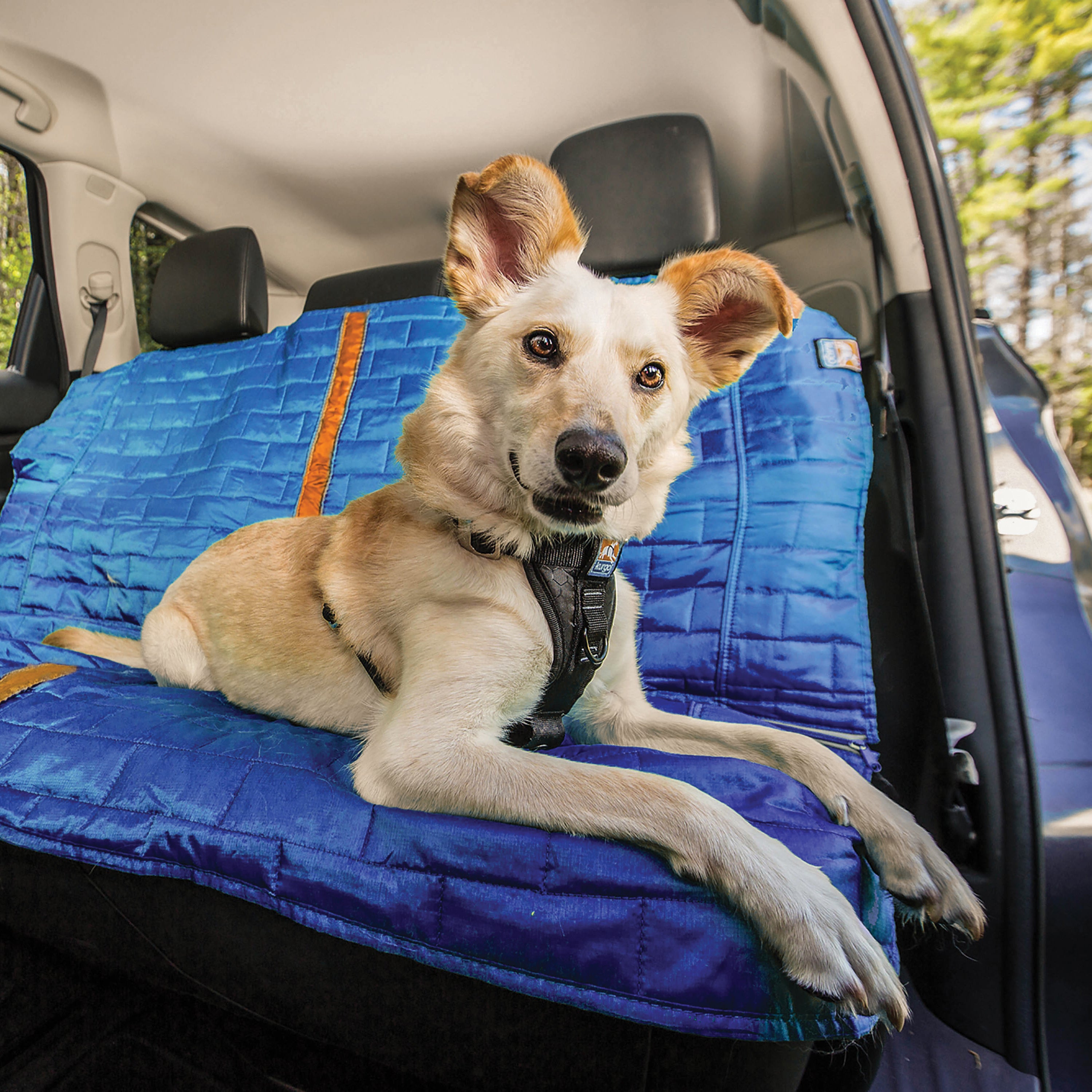 Loft back seat car seat cover blue