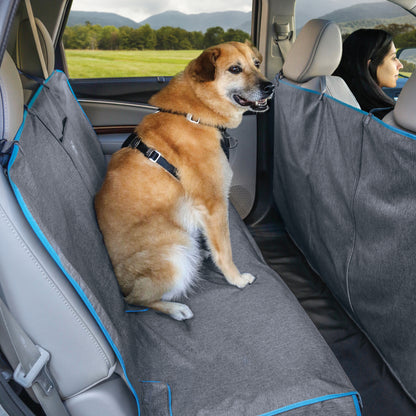Back seat protection hammock