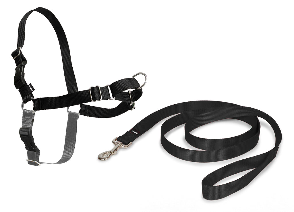 Easy Walk Geschirr, L, schwarz, 66-91 cm