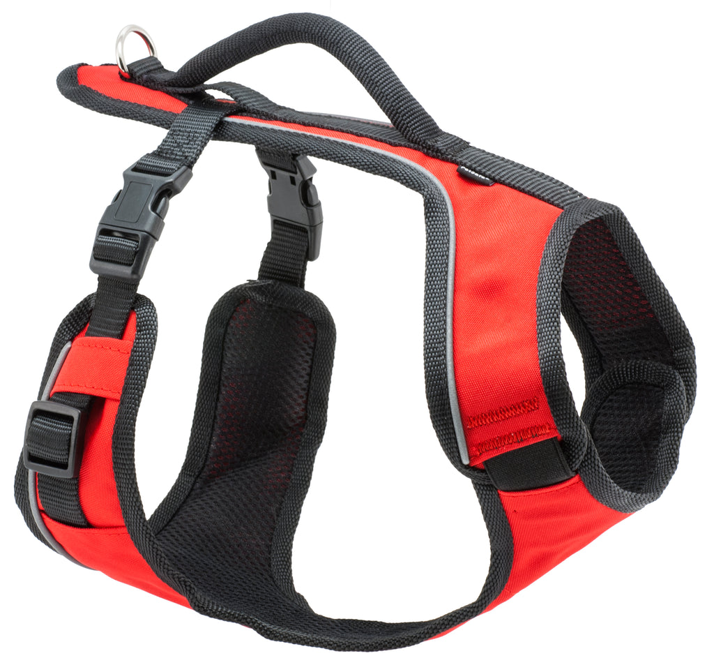 Kurgo EasySport Geschirr L Rot – Gepolstertes Hundegeschirr