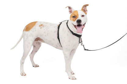 Harness &amp; vehicle restraint system