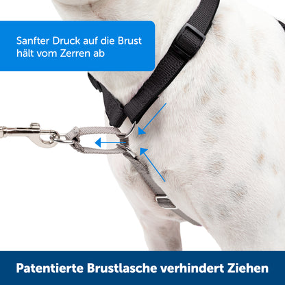 Harness &amp; vehicle restraint system