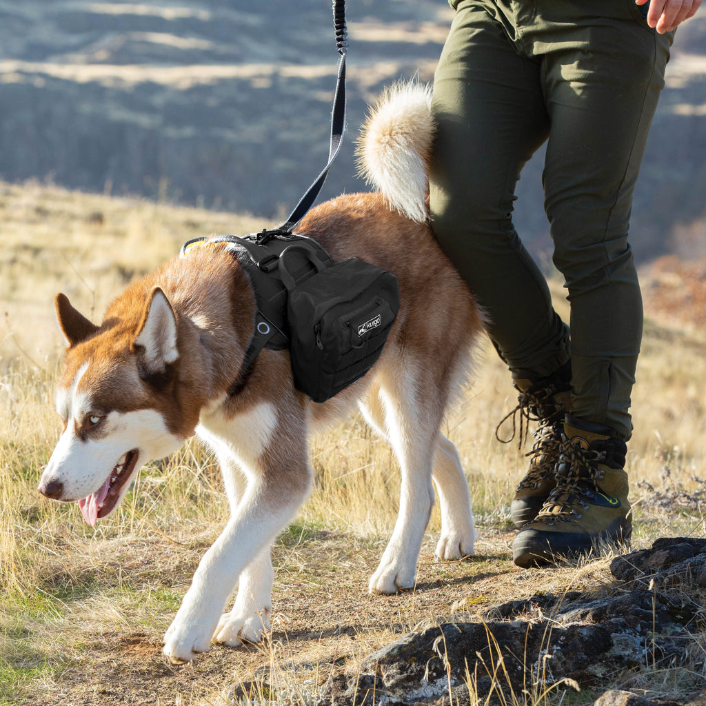 Kurgo RSG Dog Pack Packtasche für Hunde – Schwarz