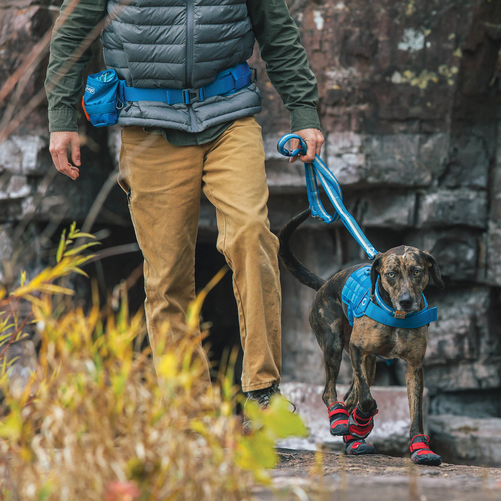 Active Zubehörgurt für Hunde – Laufgürtel & Hunde-Zubehörgurt 72–115 cm