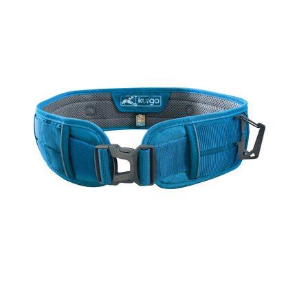 Active accessory strap