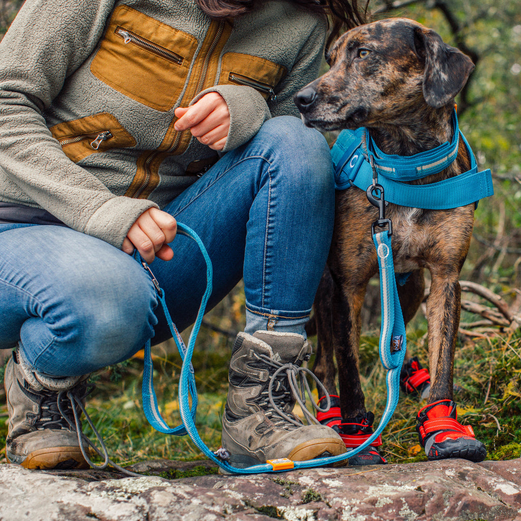 Führleine Kurgo RSG Stub Leash