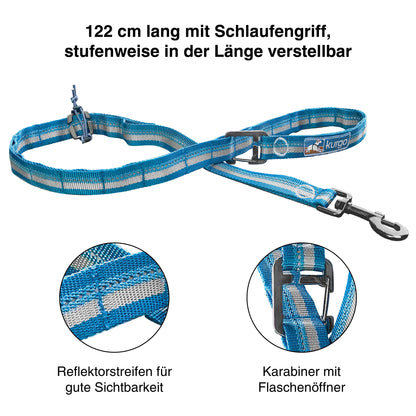 Kurgo RSG Stub Leash
