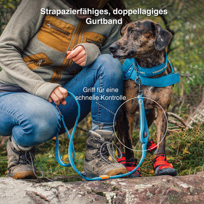 Kurgo RSG Stub Leash