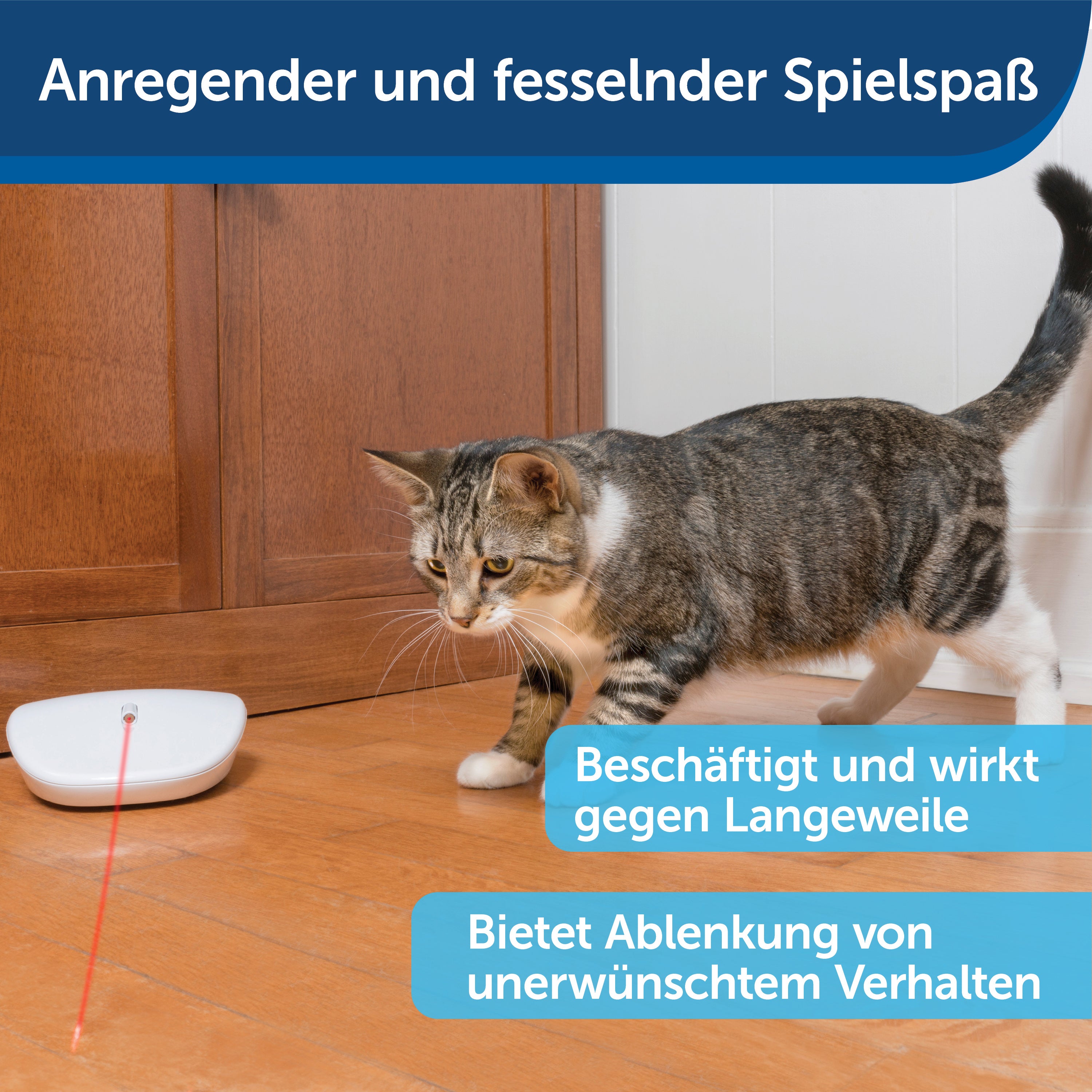 Laser toy "Tail Light"
