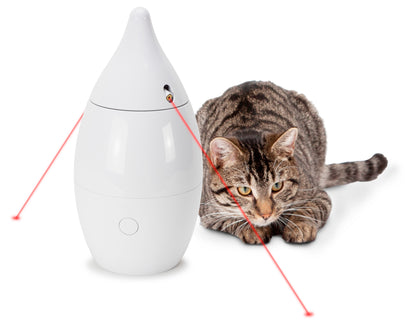 Laser toy "Zoom"