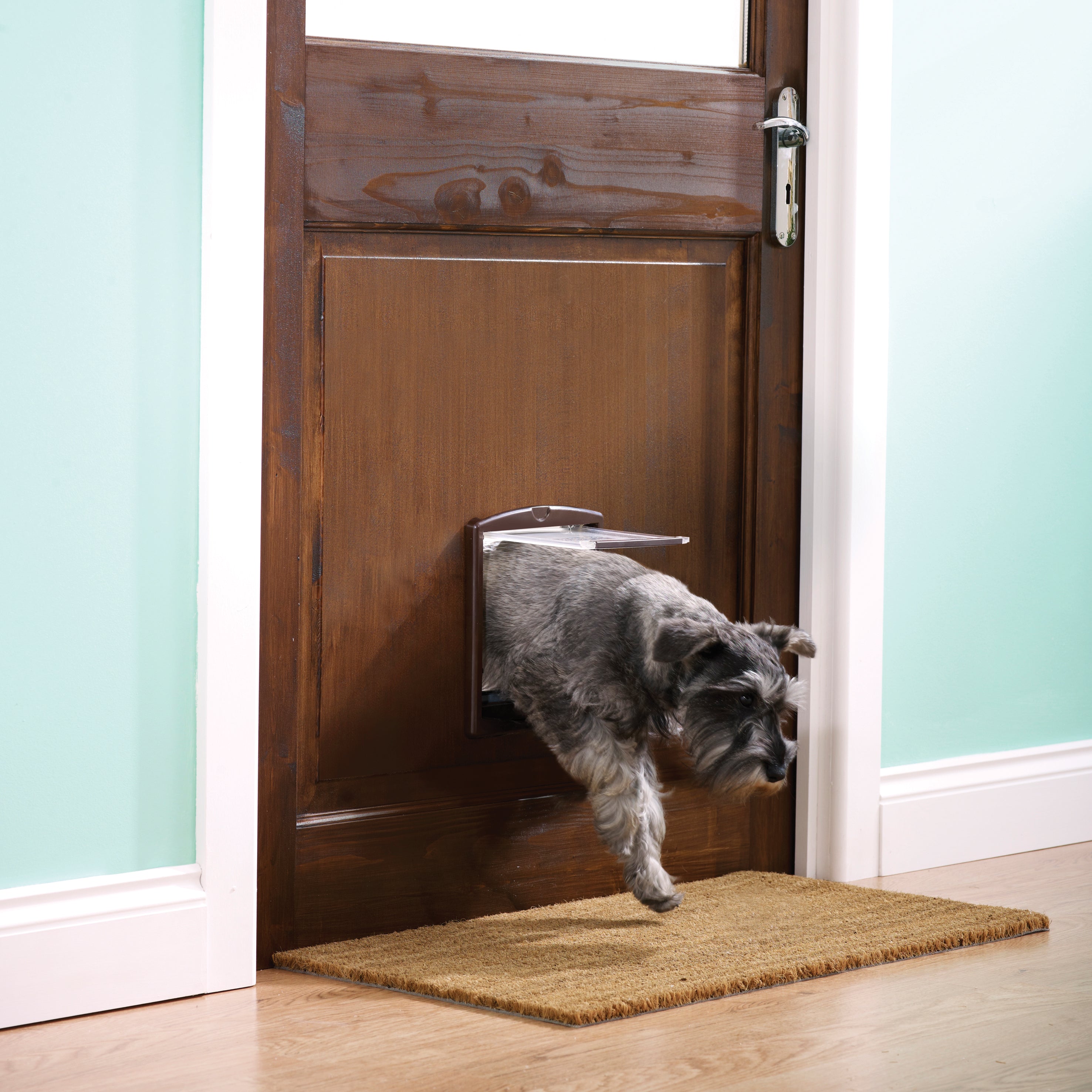 Cat &amp; dog door 2-way br. (730)