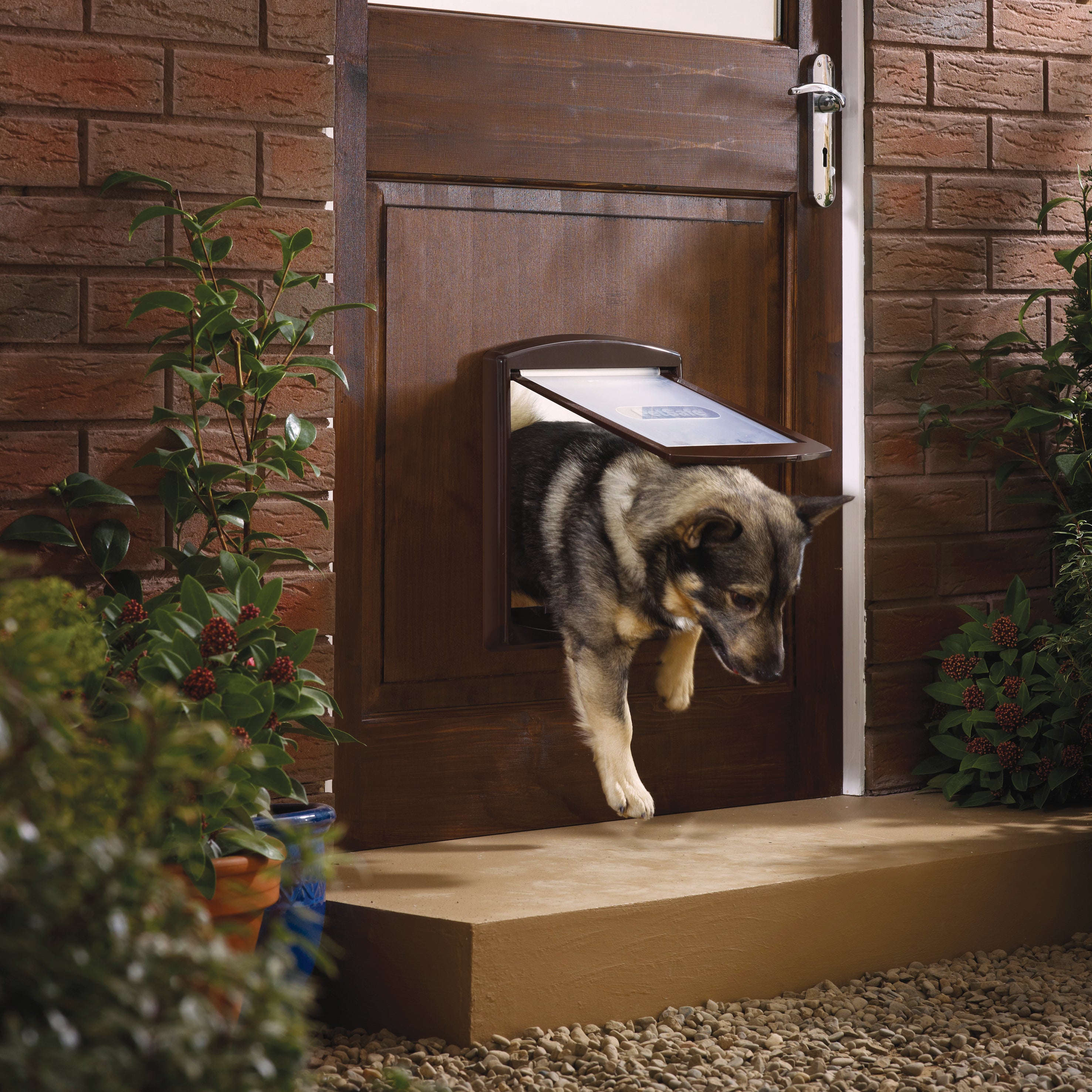 Dog door M 2-way. brown(755)