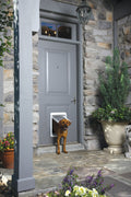 Passport Hundetüre