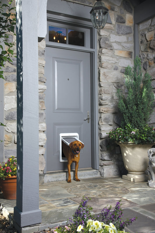 Passport dog door