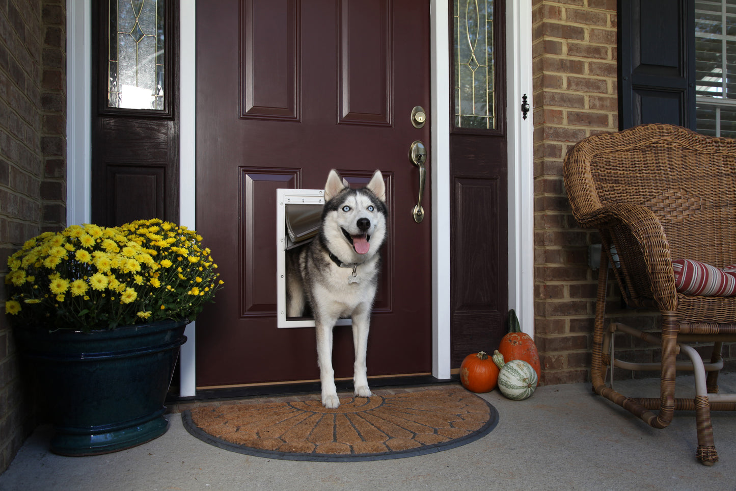 Extreme Weather Dog Flap White
