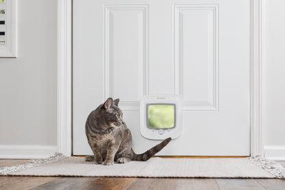 Microchip cat flap, white