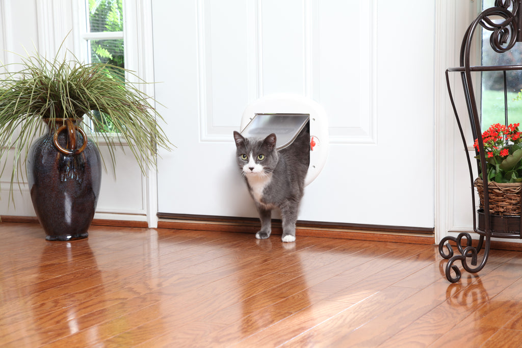 Sliding cat door. 4-way white.280