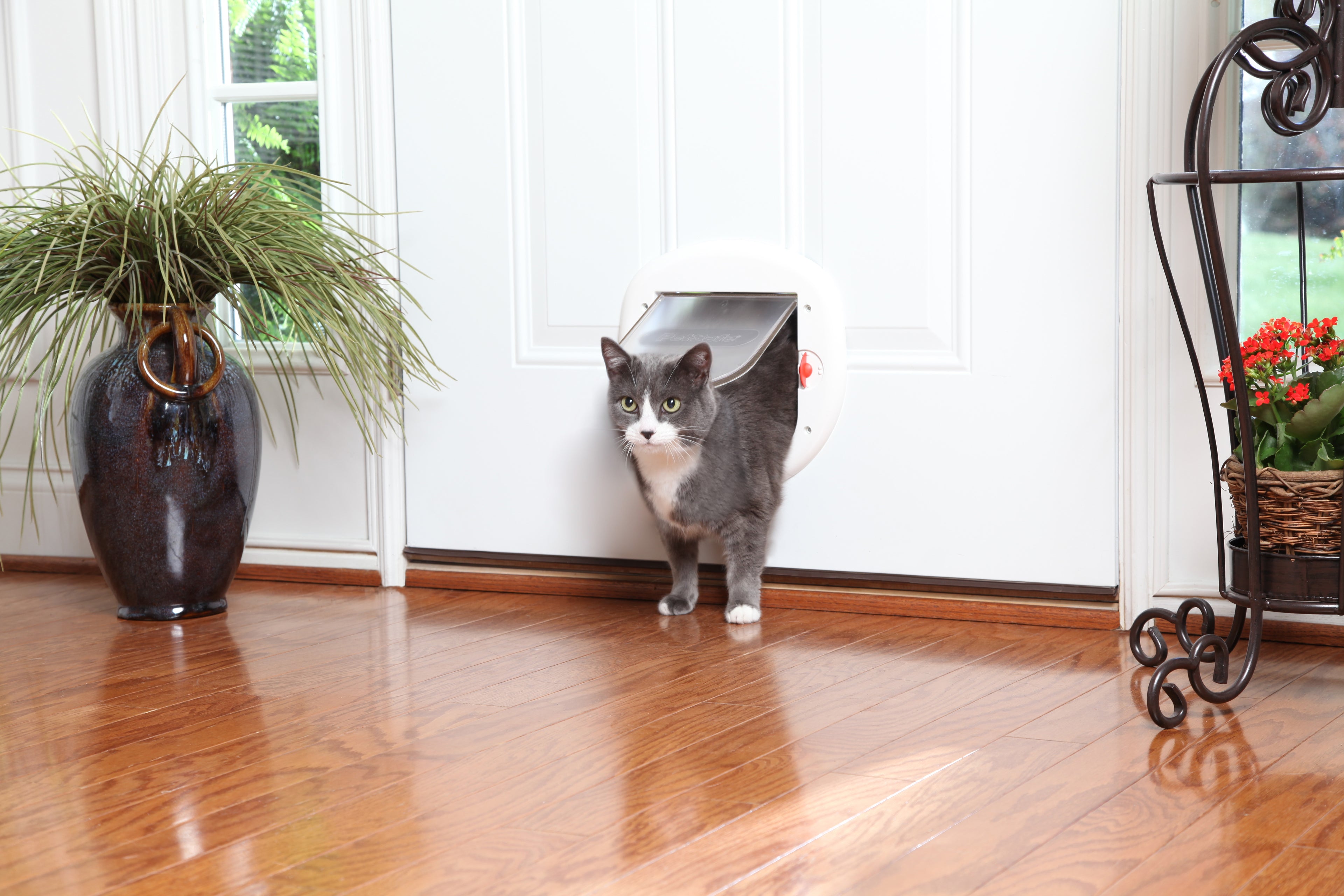 Sliding cat door. 4-way white.280