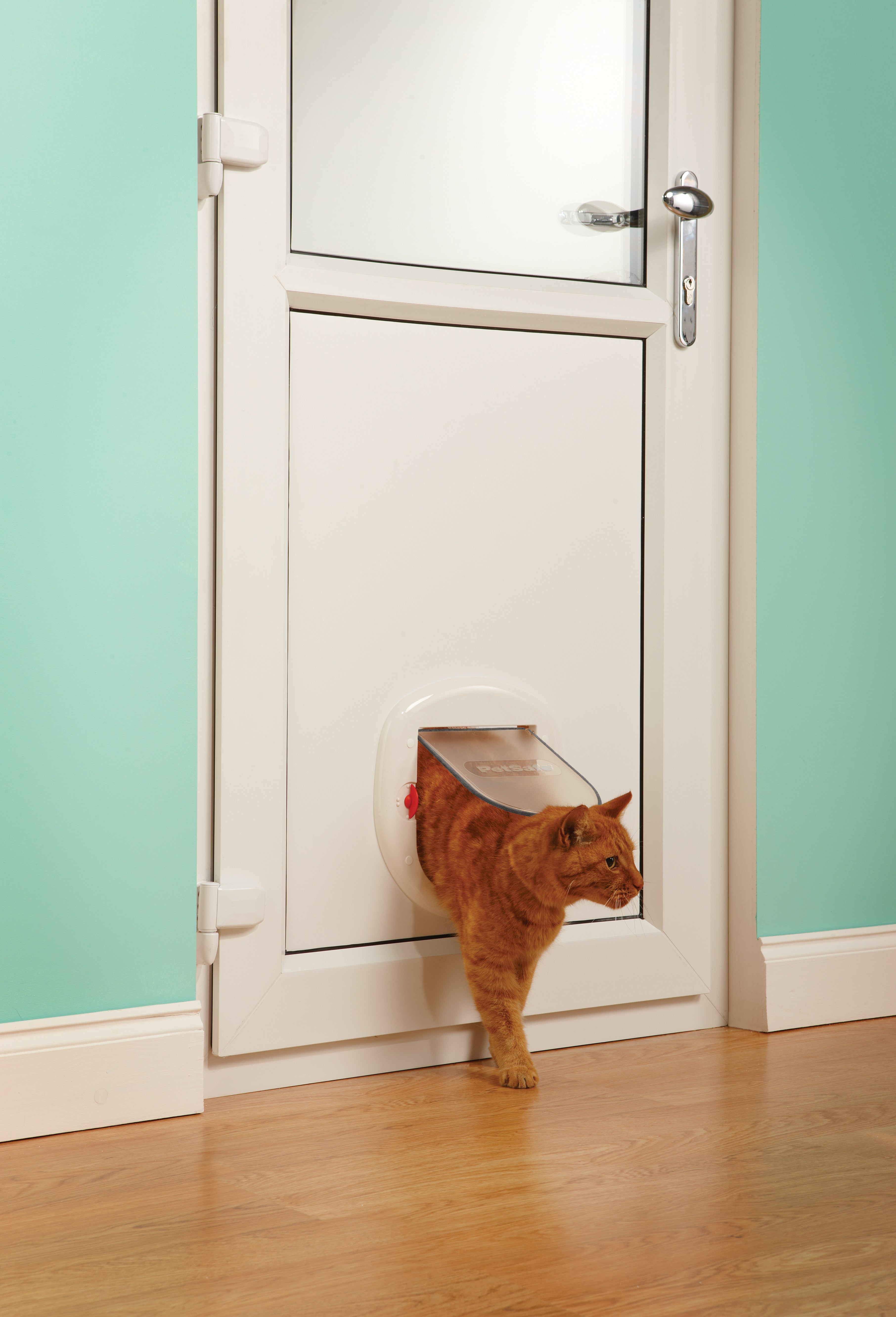 Sliding cat door. 4-way white.280