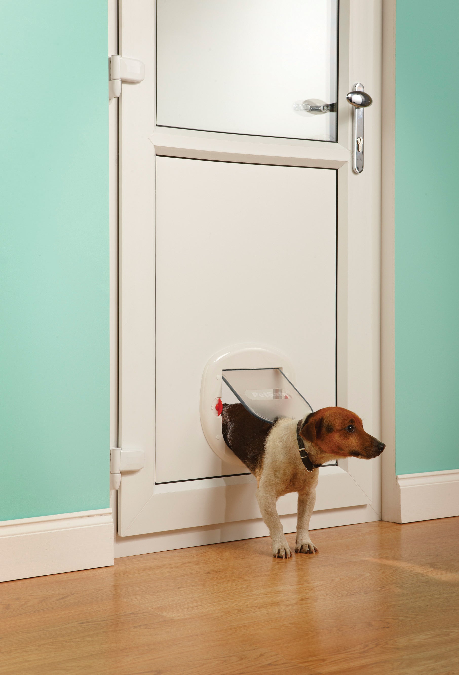 Sliding cat door. 4-way white.280