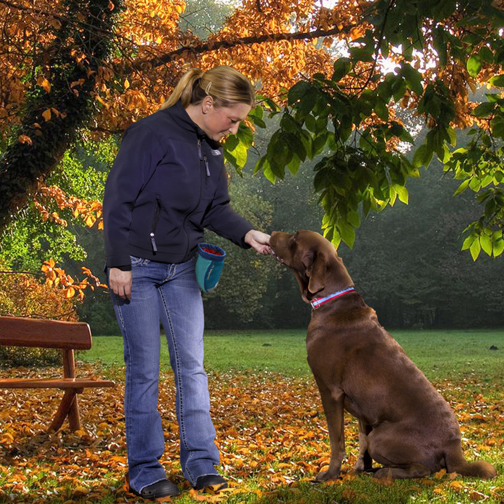 Futtertasche Blau – Leckerlibeutel für Hunde mit Karabiner