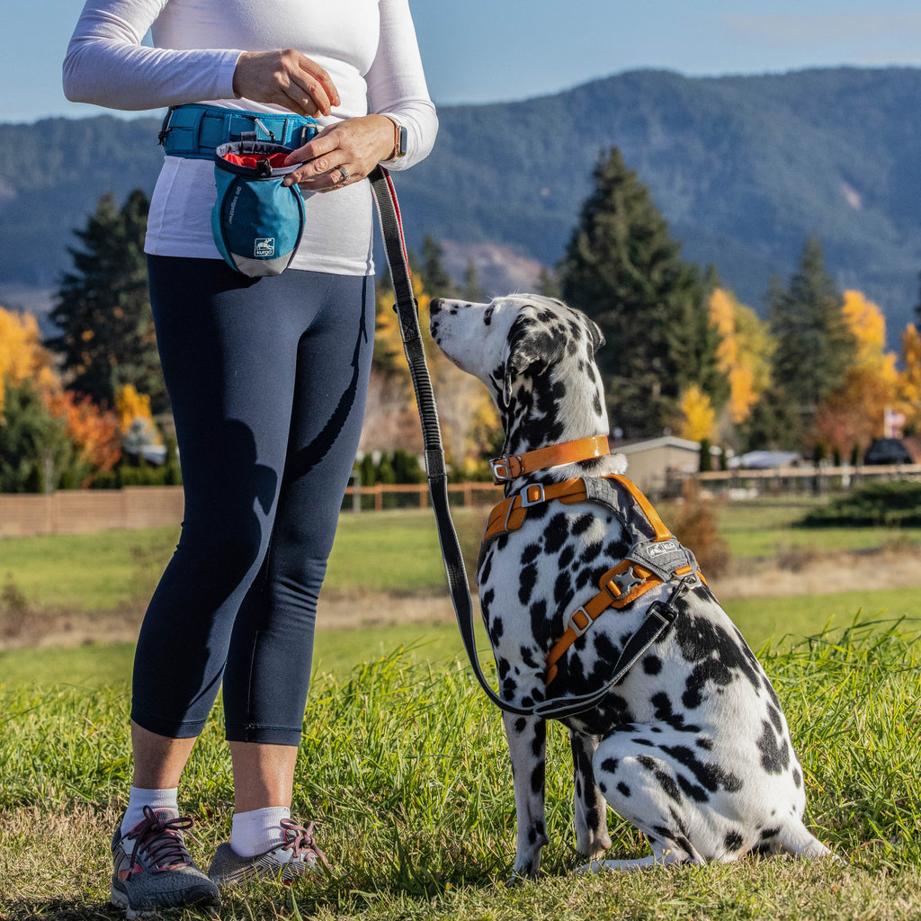 Futtertasche Blau – Leckerlibeutel für Hunde mit Karabiner