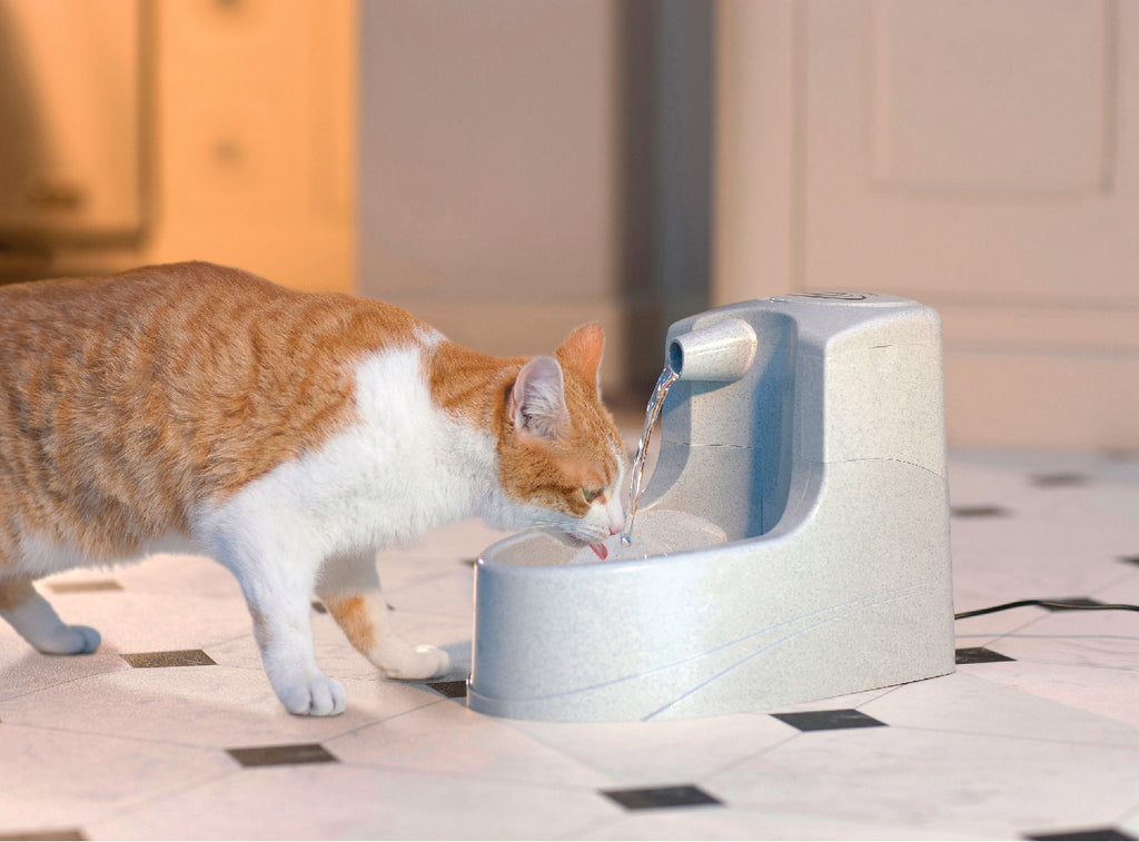 Haustierbrunnen Drinkwell Mini