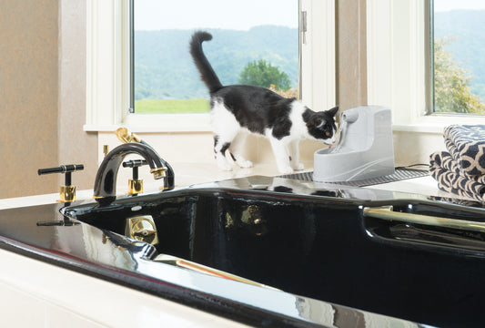 Pet fountain Drinkwell Mini