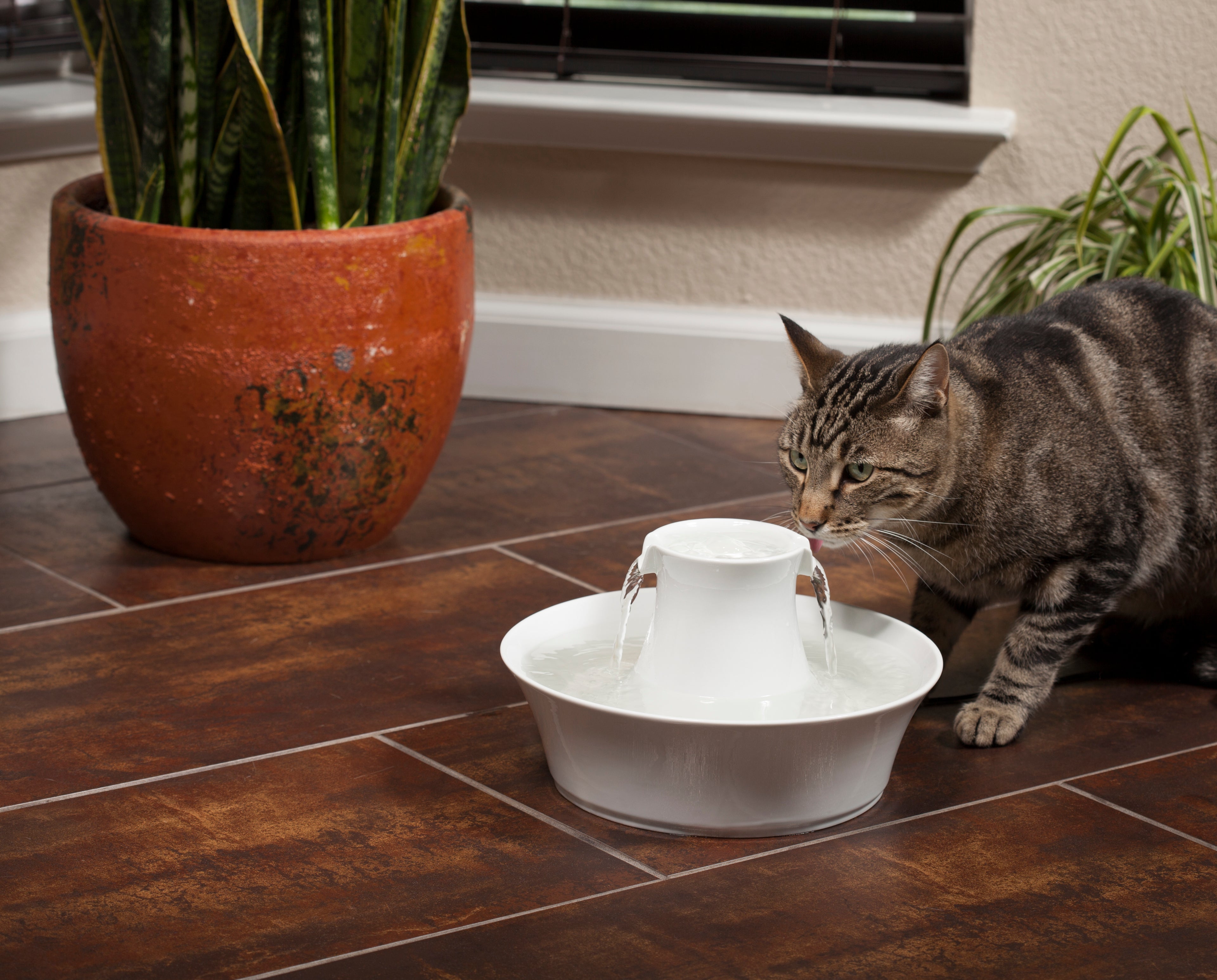 Ceramic drinking fountain Avalon