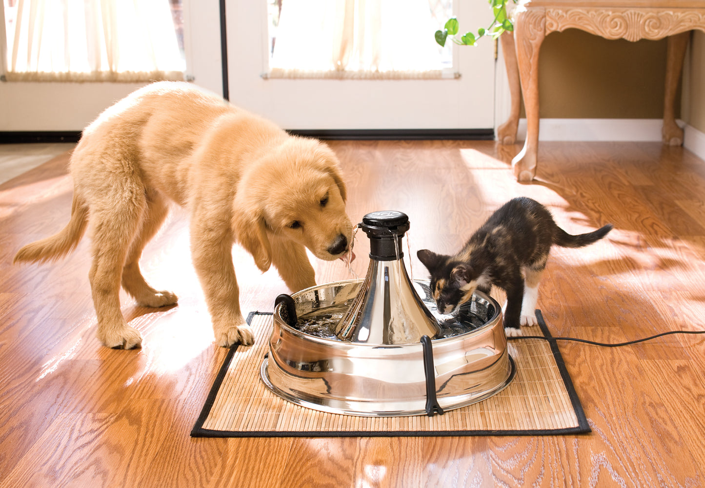Stainless steel drinking fountain 360