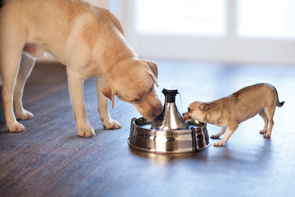 Stainless steel drinking fountain 360