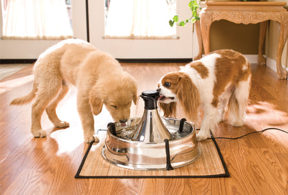 Stainless steel drinking fountain 360