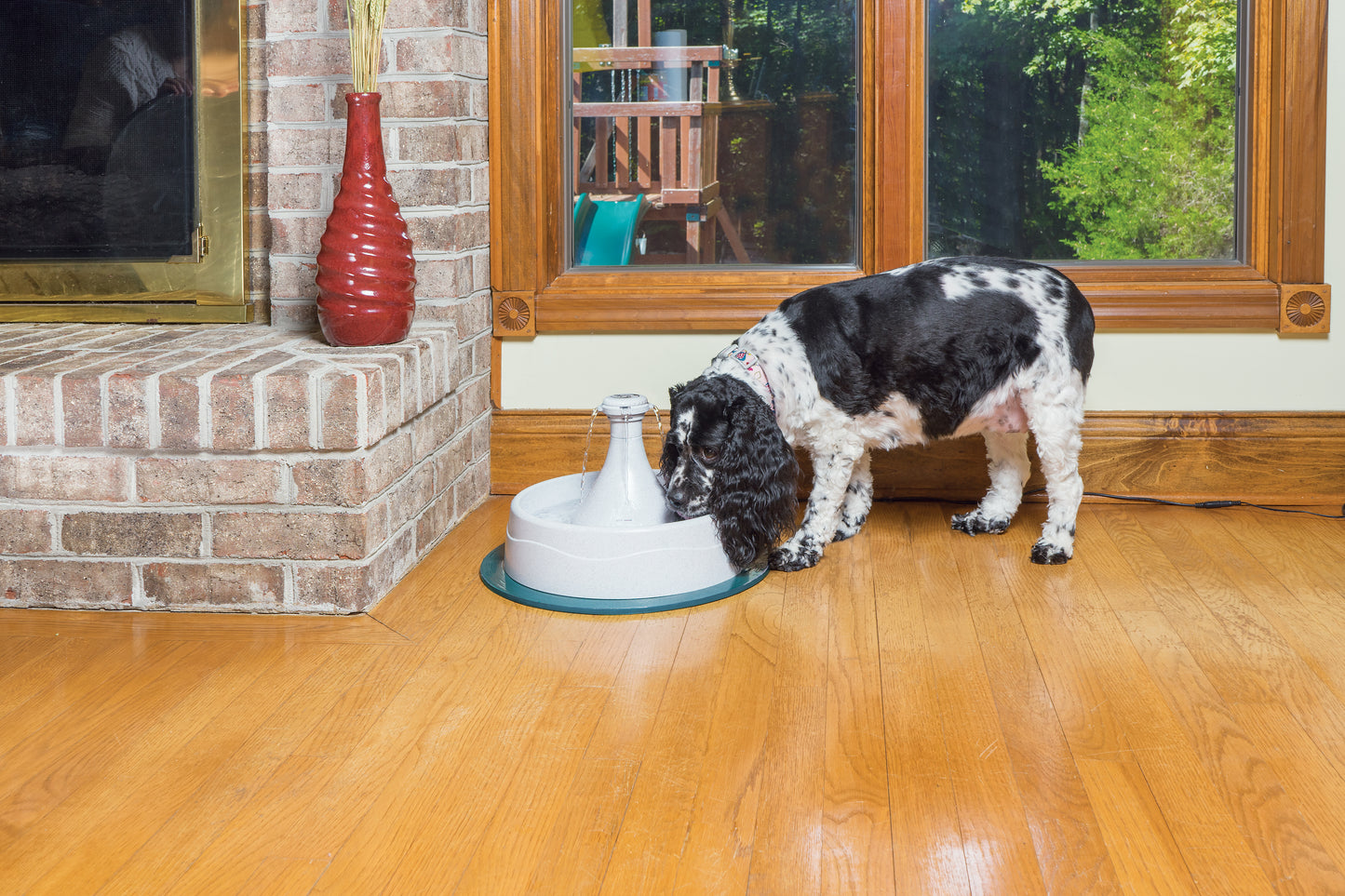 Plastic drinking fountain 360