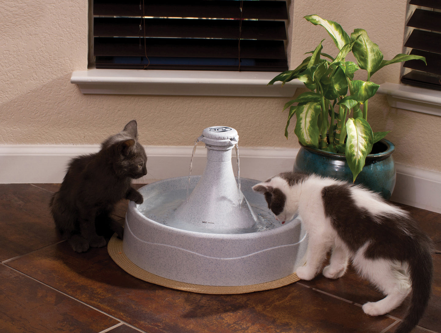 Plastic drinking fountain 360