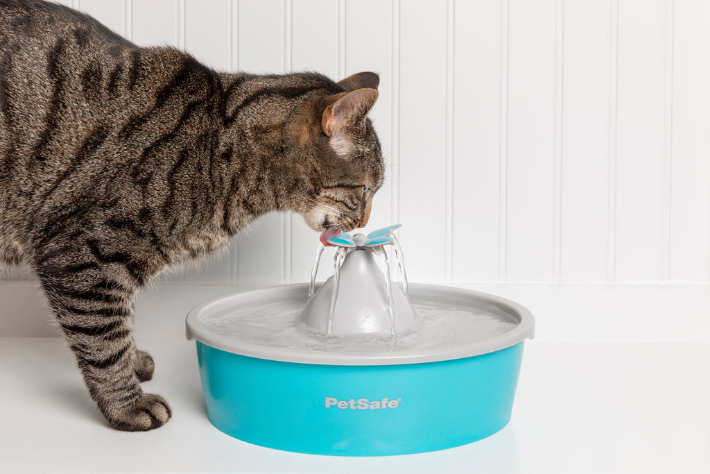 Drinkwell Butterfly Pet Fountain