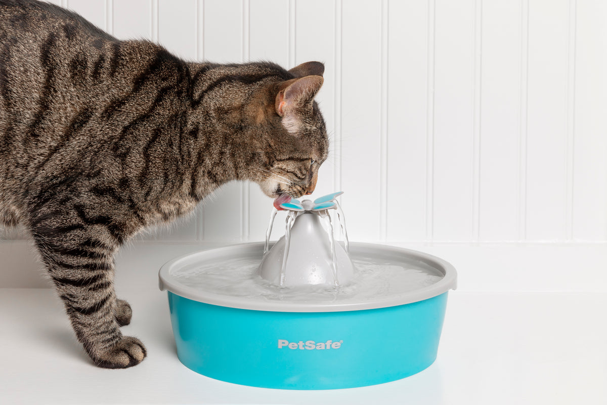 Drinkwell Butterfly Pet Fountain