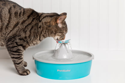 Drinkwell Butterfly Pet Fountain