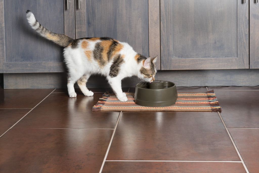 Drinkwell® Current Pet Fountain in klein/mittel/gross