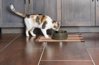 Drinkwell® Current Pet Fountain in small/medium/large