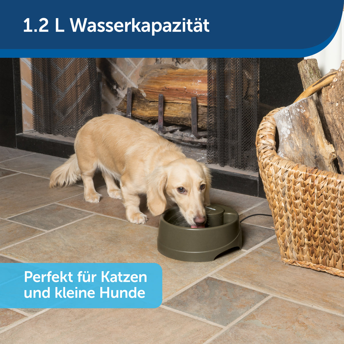 Drinkwell® Current Pet Fountain in klein/mittel/gross