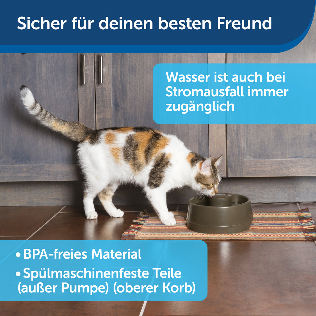 Drinkwell® Current Pet Fountain in klein/mittel/gross