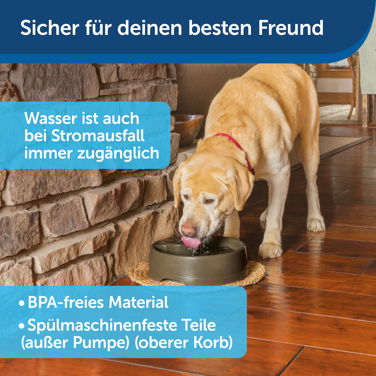 Drinkwell® Current Pet Fountain in klein/mittel/gross
