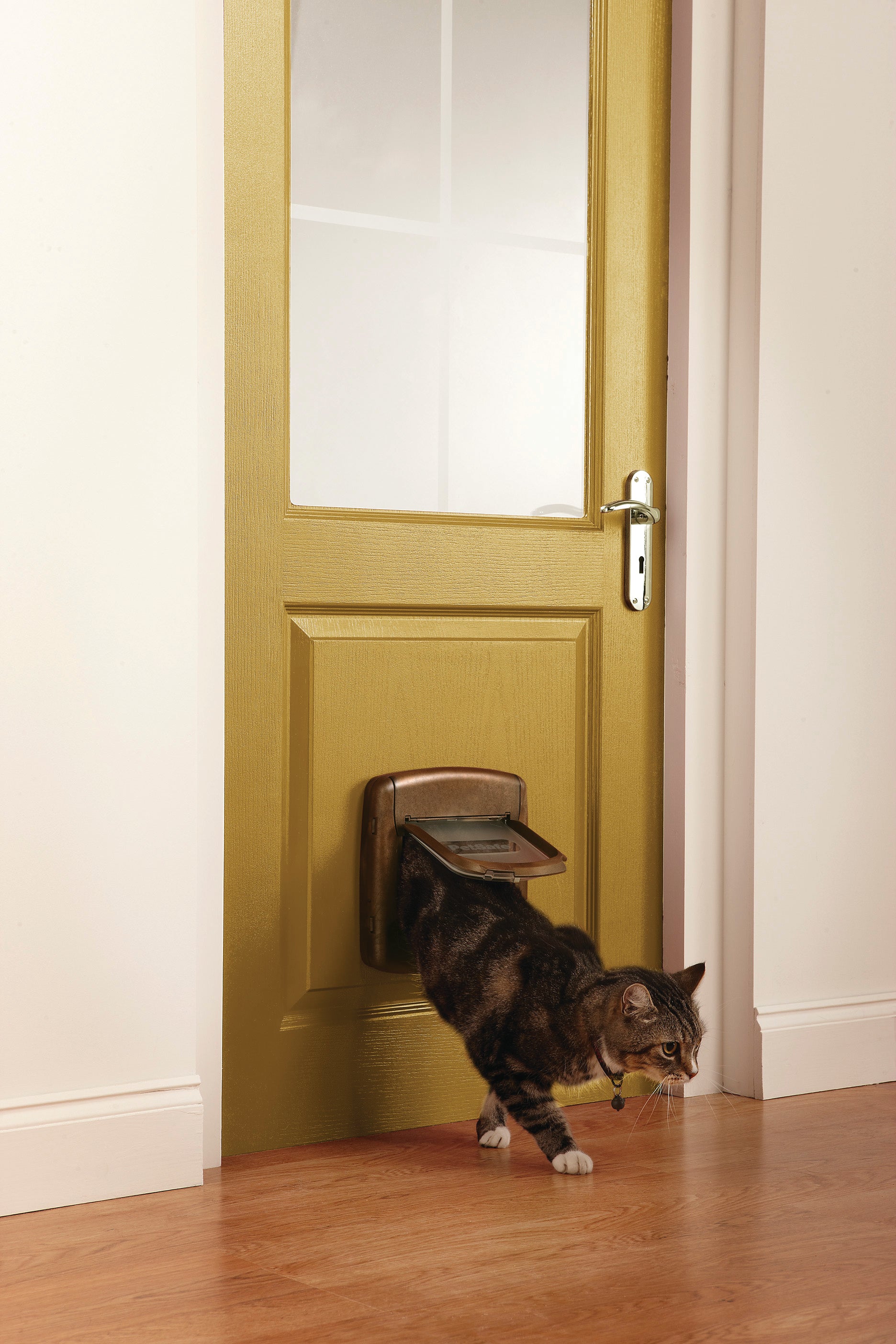 Cat door magnet brown (420)