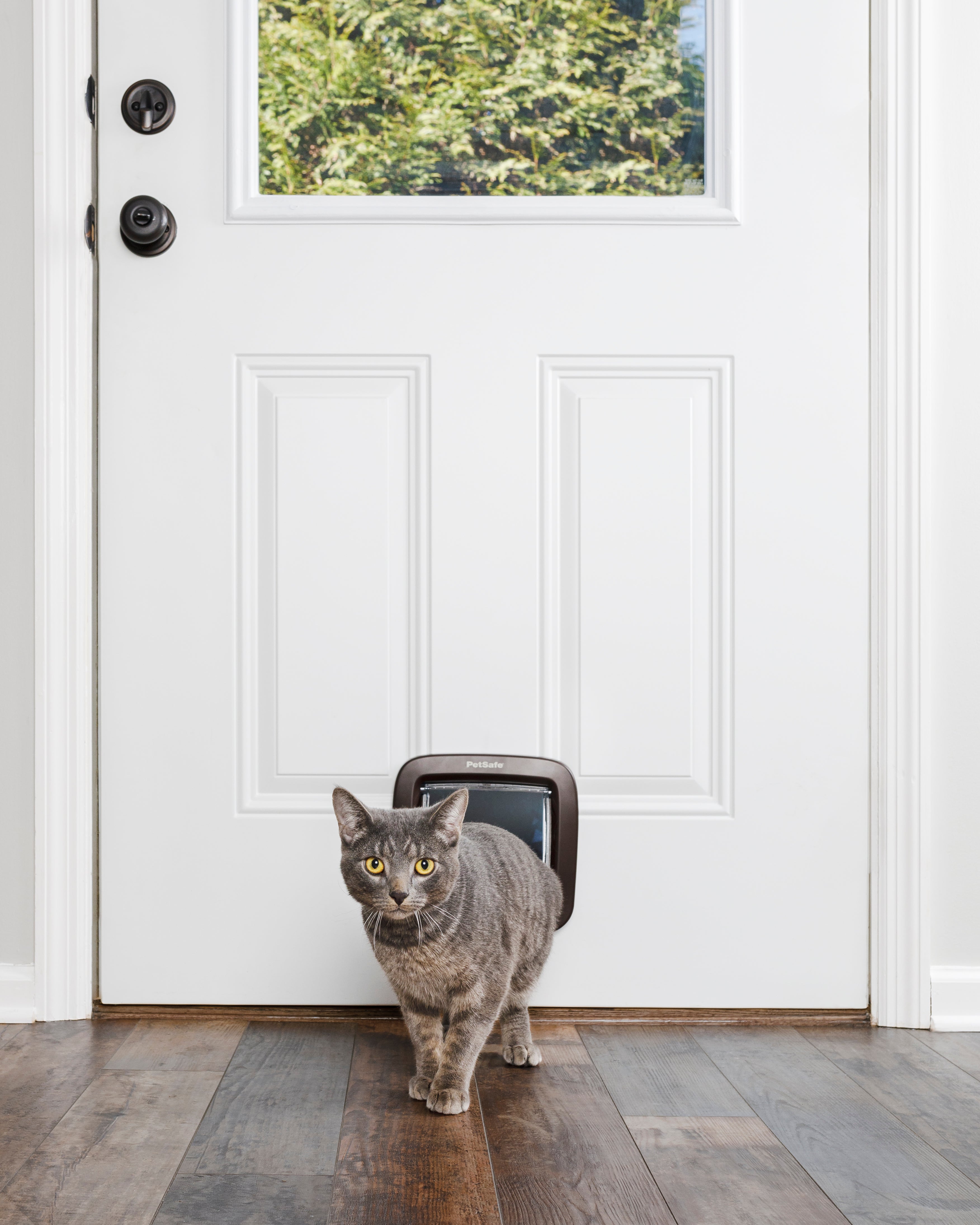 Cat door, 4-way function