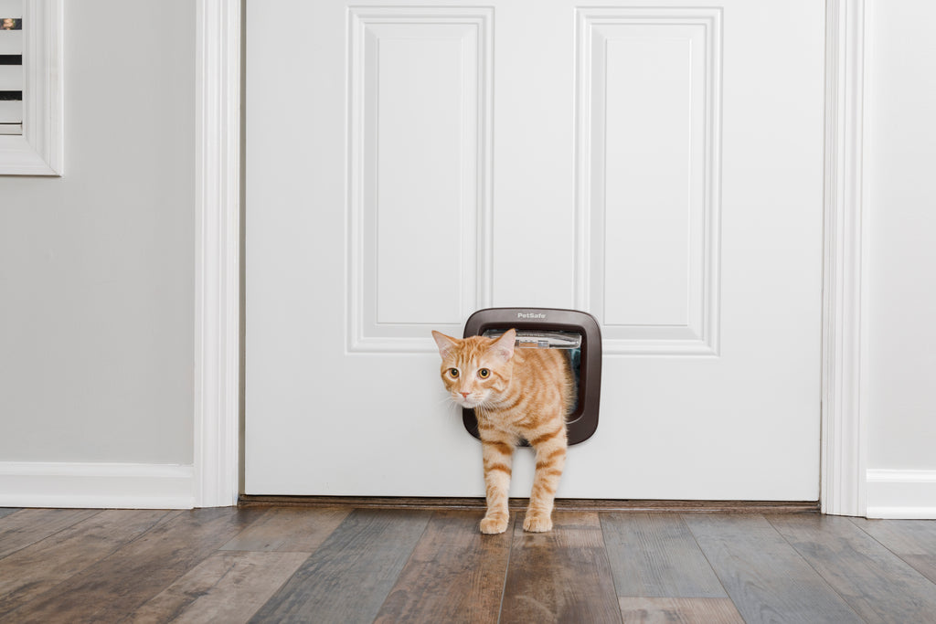 Cat door, 4-way function